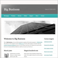 business website